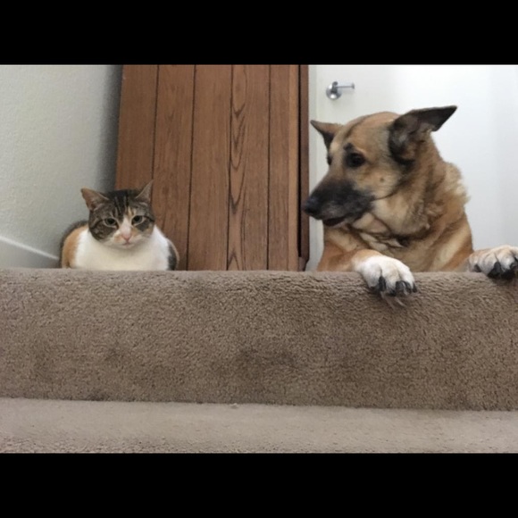 Meet your Posher, Miriam - Picture 2 of 3